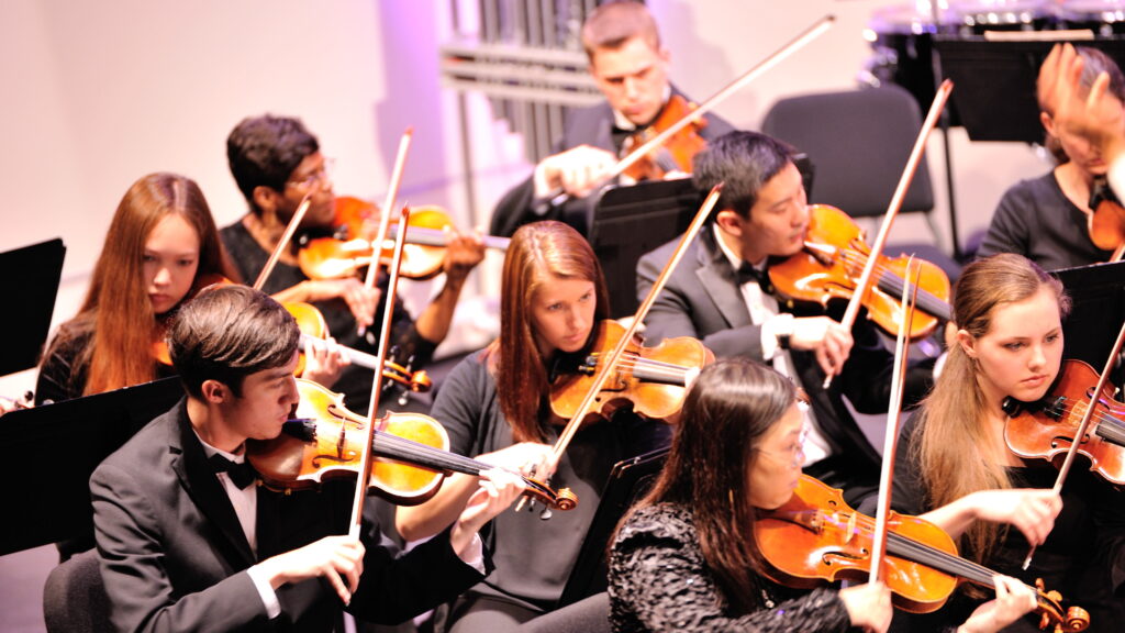 Image of the violin section of the chamber orchestra performing during a concert.