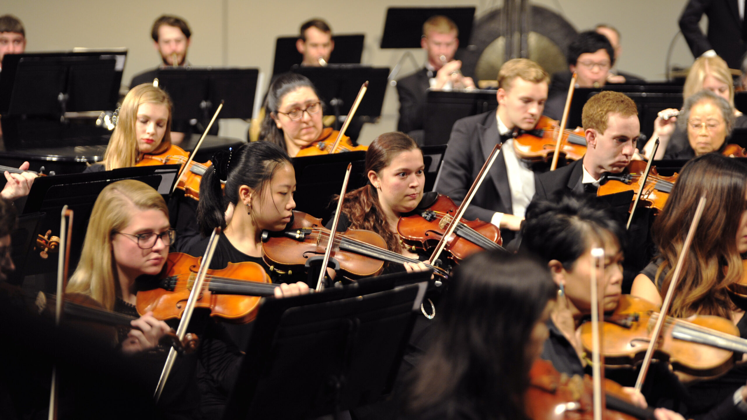 A group of musicians play violins during a symphony concert