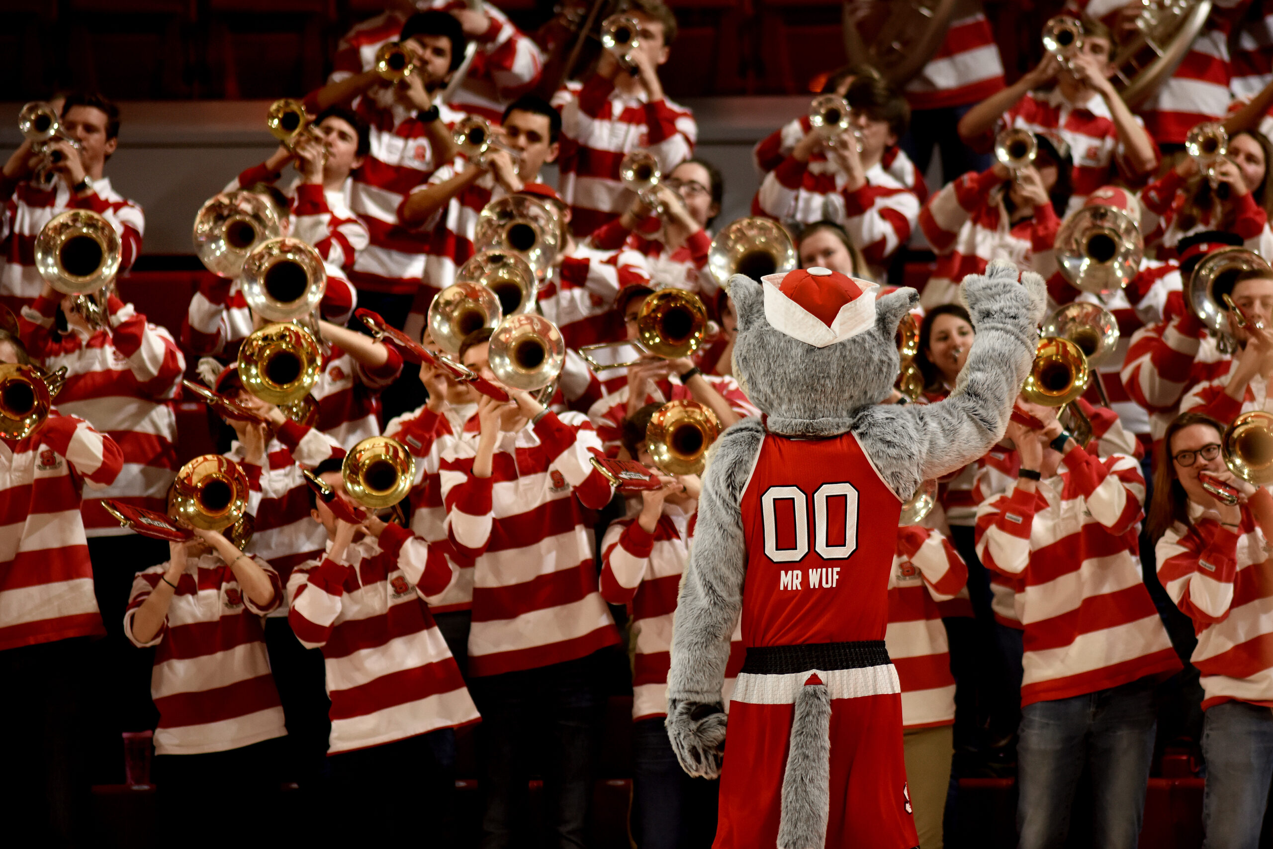 Mr Wuf conducts the pep band during a time-out at the women's basketball game in Reynolds Coliseum, 2019