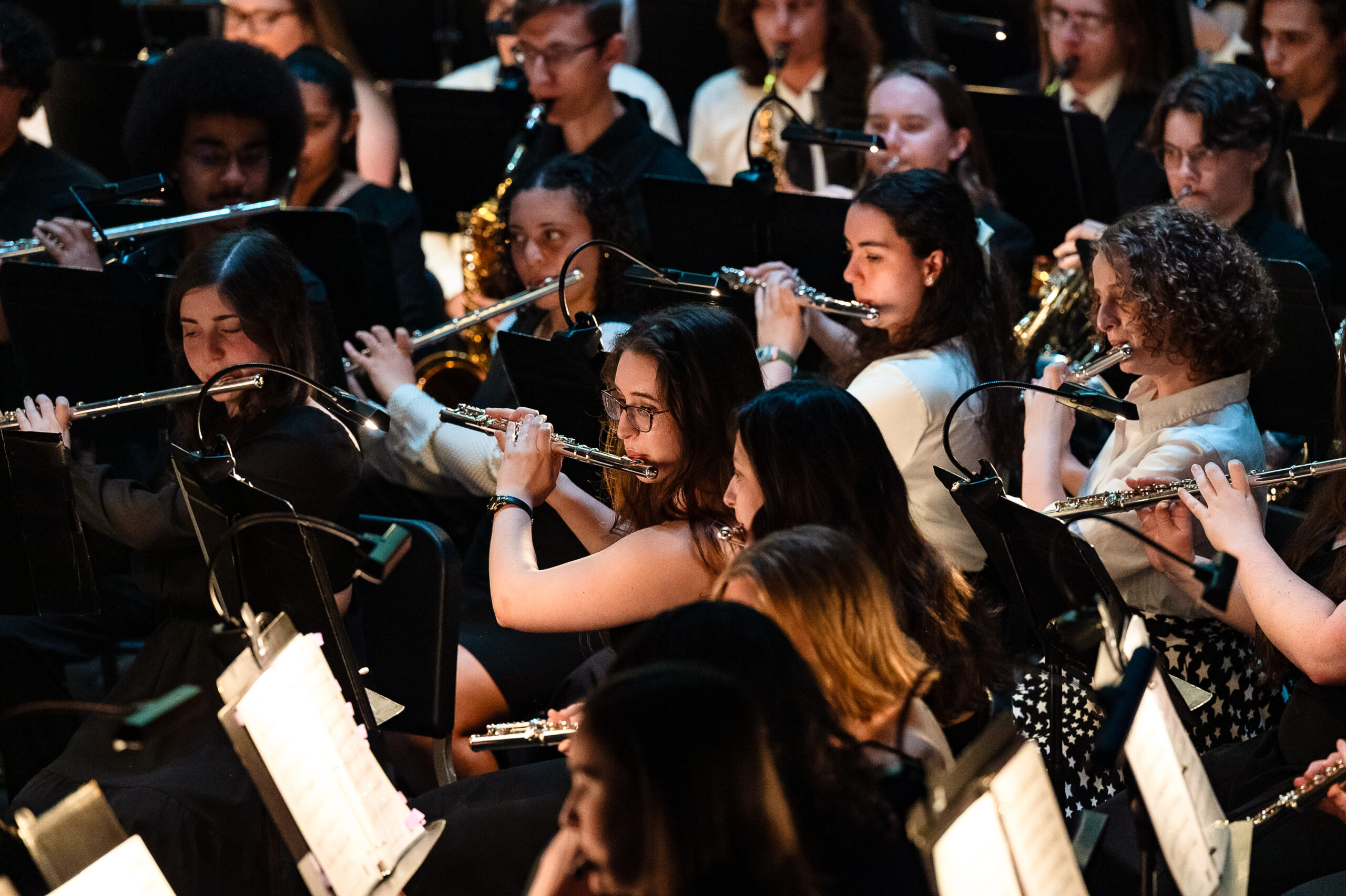 musicians perform in a concert.